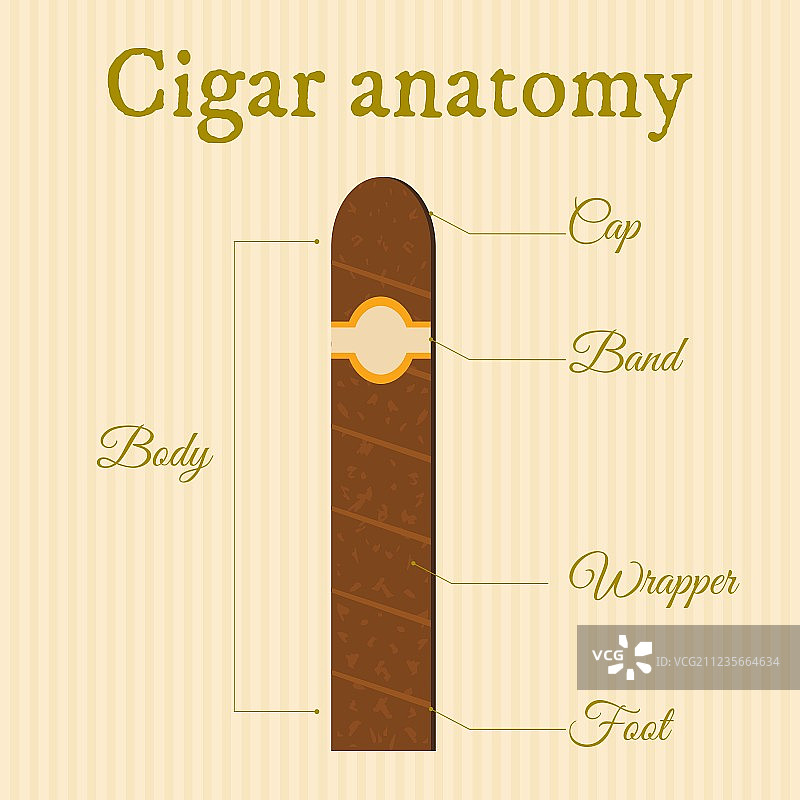 雪茄结构1图片素材
