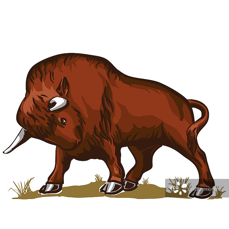 水牛公牛野牛图片素材