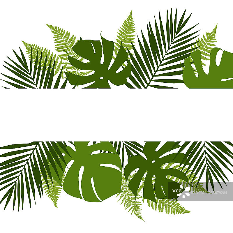 白色banner热带叶子背景图片素材