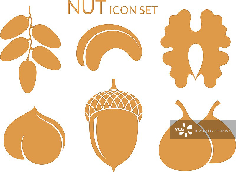 坚果图标，白色背景上的独立水果图片素材