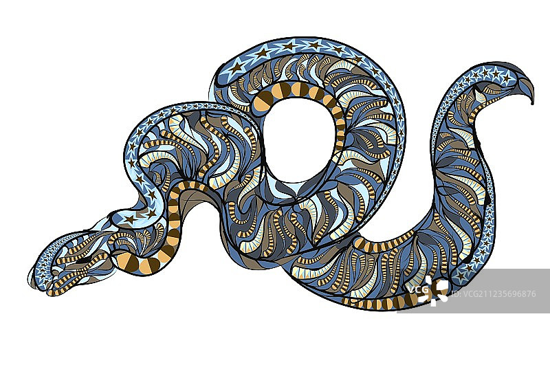 网纹蟒图片素材