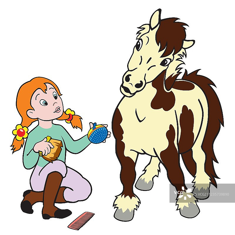 女孩梳理小马图片素材