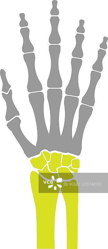 白色背景上手骨的扁平图标图片素材