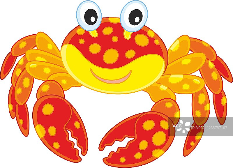 红色斑点蟹图片素材