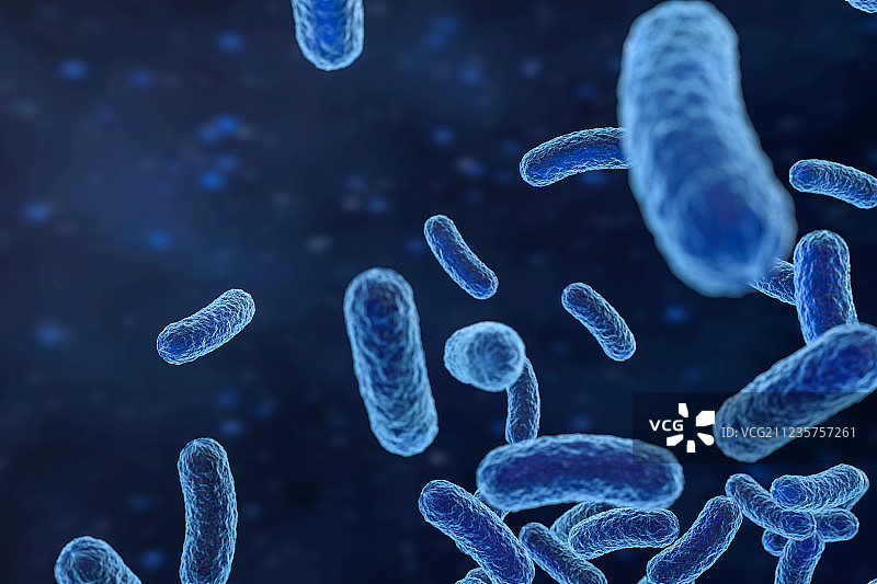 蓝色背景下表面细节丰富的细菌病毒，三维渲染图片素材