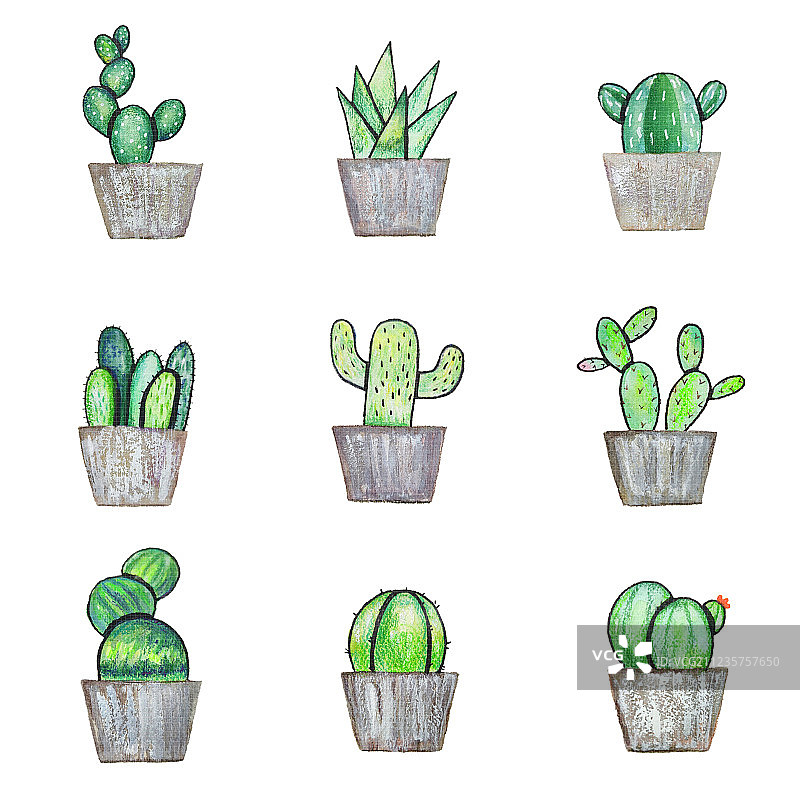 绿色小盆栽 竖版图片素材