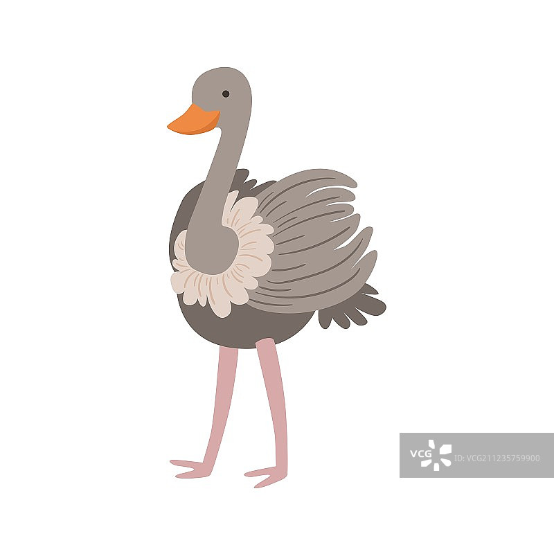 风格化的儿童画鸵鸟图片素材