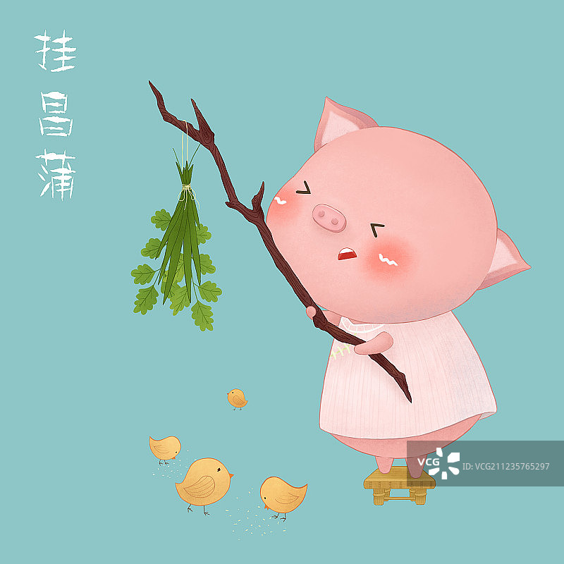 端午节习俗-挂菖蒲图片素材