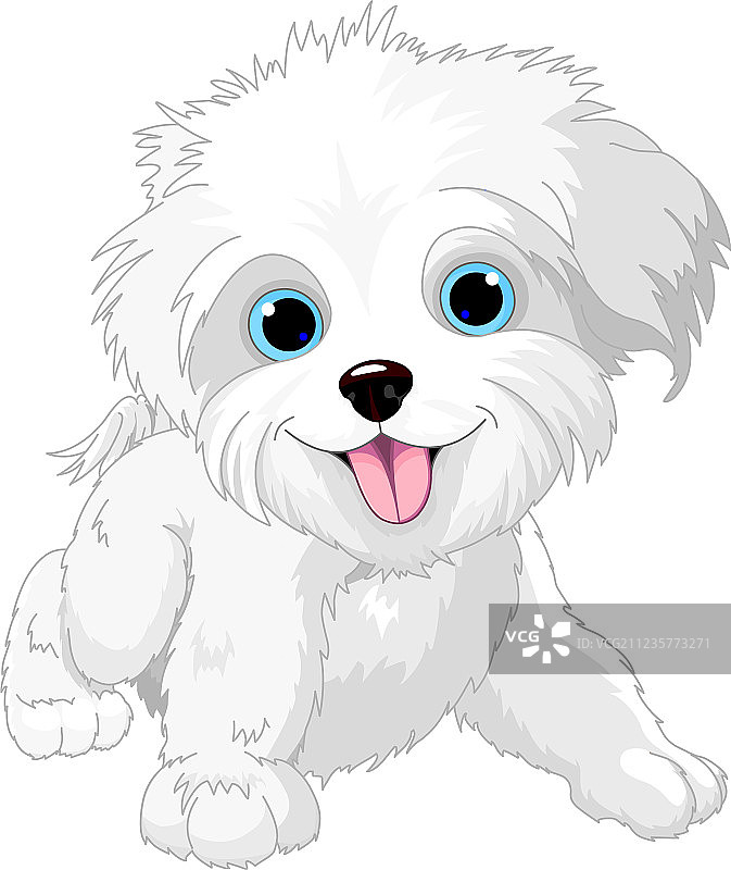 顽皮的宠物犬图片素材