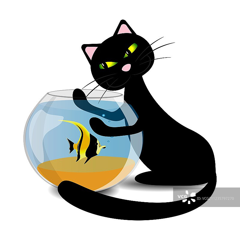 黑猫想抓鱼缸里的鱼图片素材