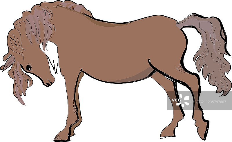 马的素描图片素材