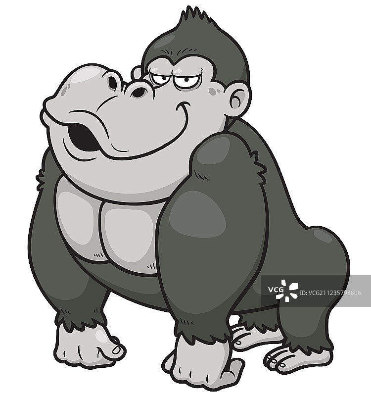 大猩猩图片素材