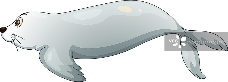 海豹和鱼图片素材