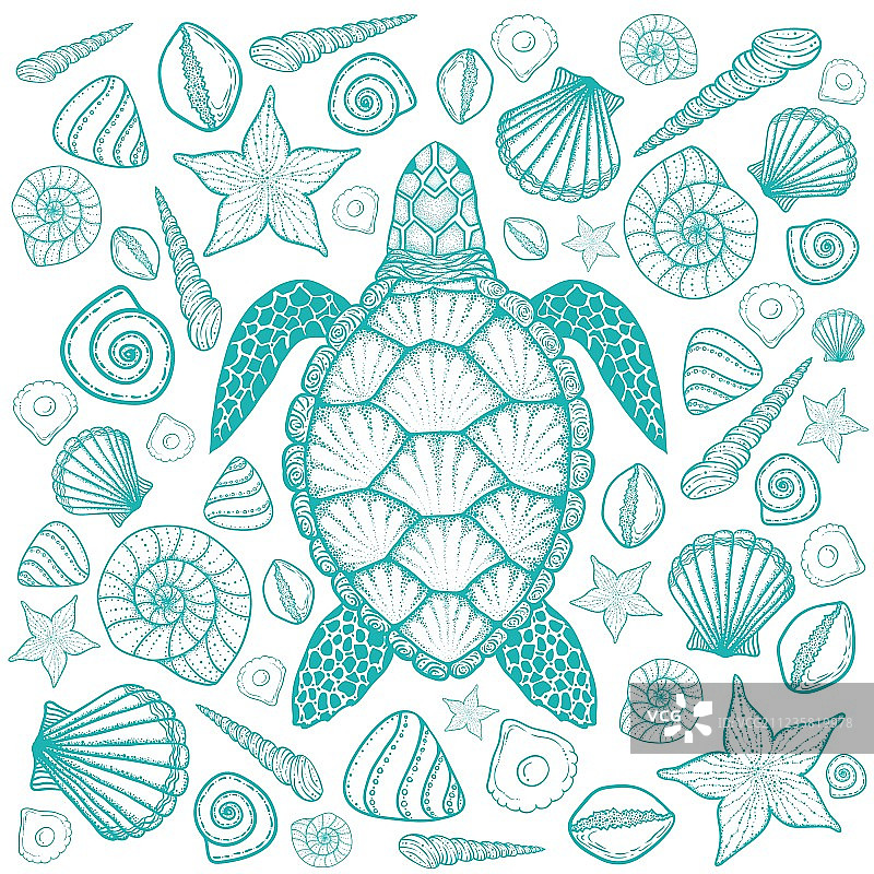 手绘线条艺术风格海龟和贝壳图片素材
