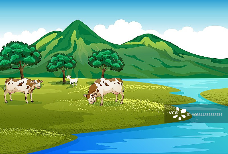 河岸边的奶牛与山羊图片素材