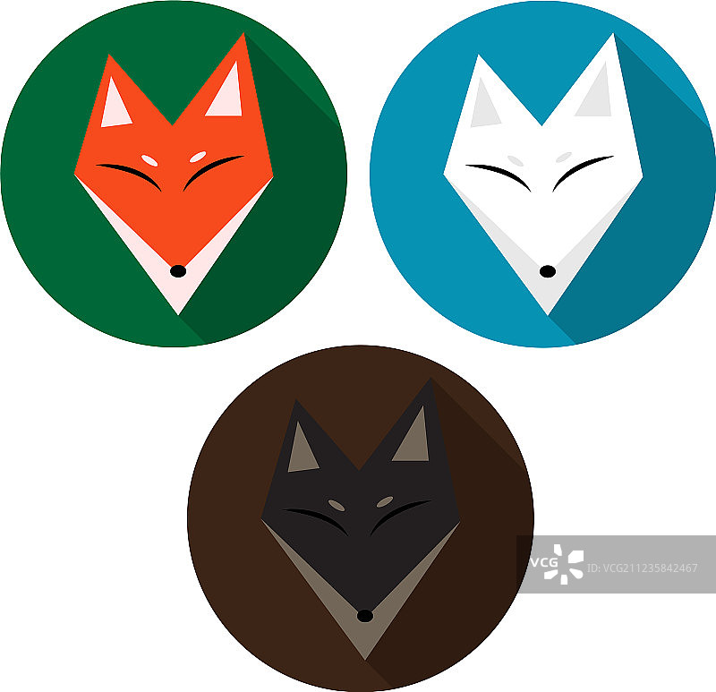 红狐、北极狐和棕狐图片素材