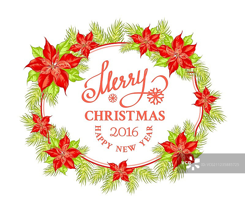 圣诞节槲寄生树枝图片素材