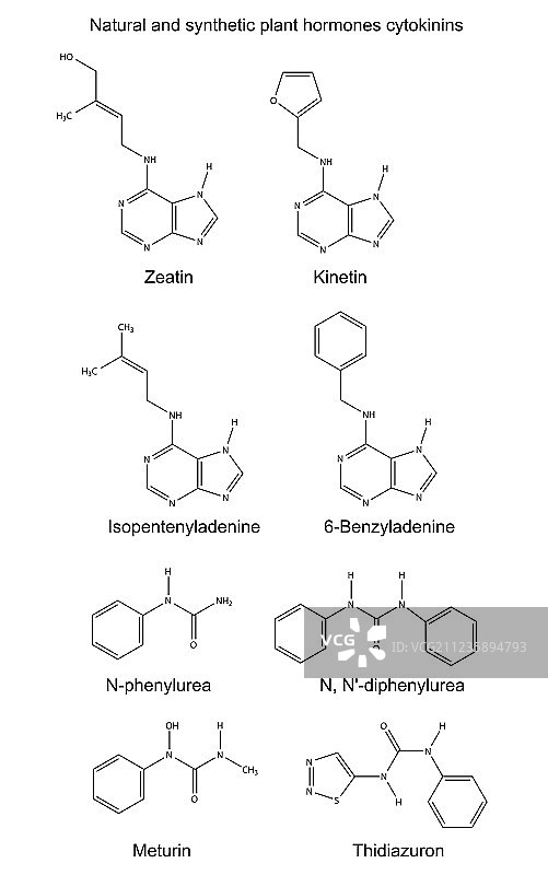 植物激素细胞分裂素的分子式图片素材