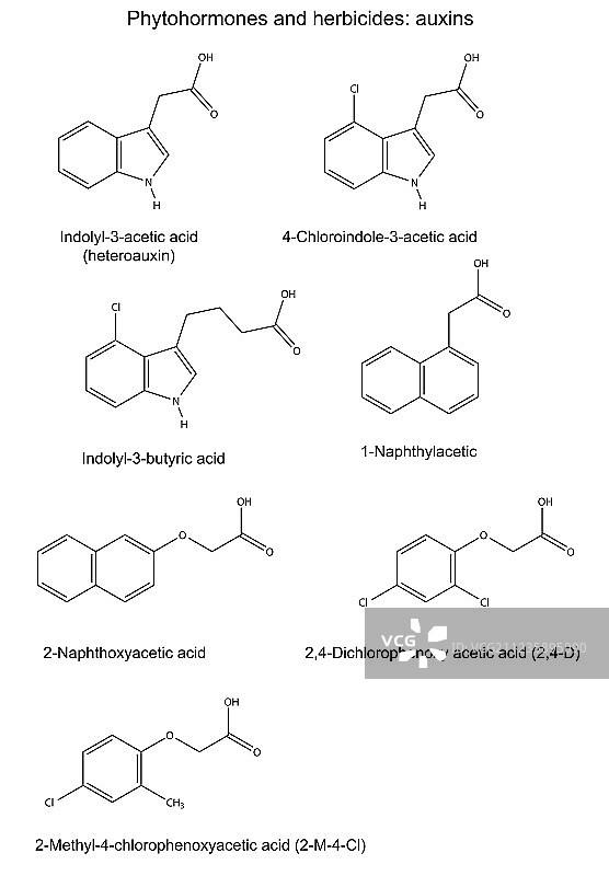 植物激素与除草剂图片素材