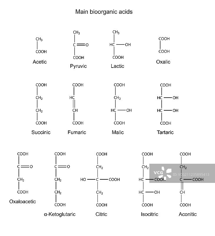 基本生物有机酸的化学式图片素材