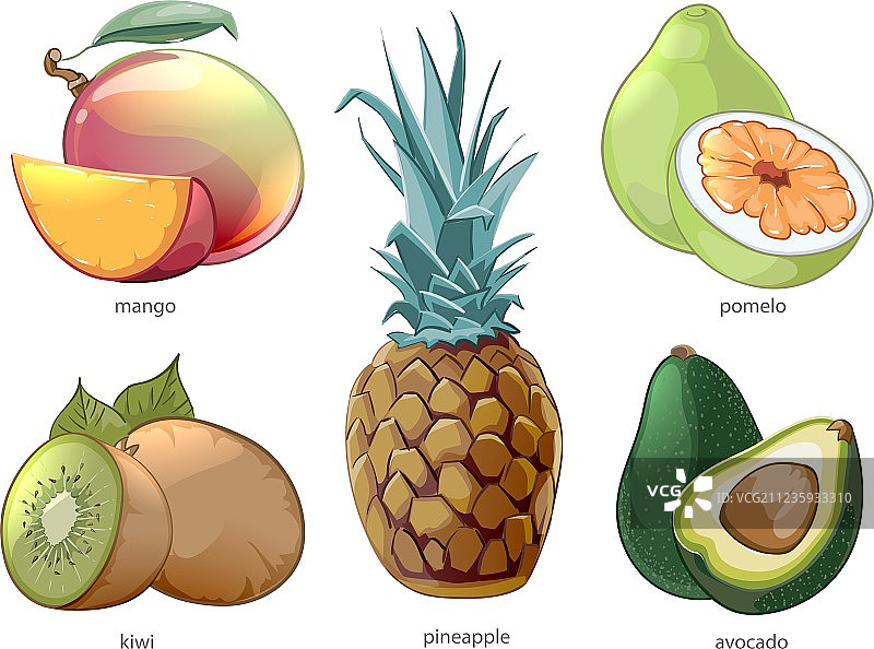 卡通异国热带水果图标集图片素材