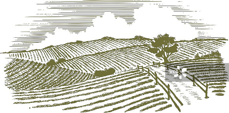 木刻乡村风景图片素材