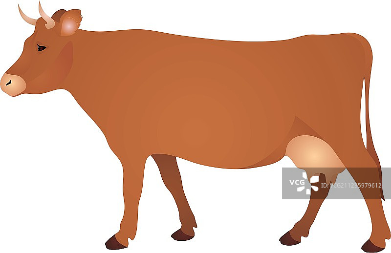 牛图片素材