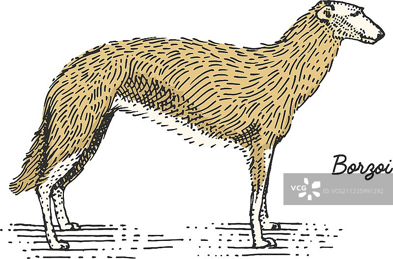 手绘雕刻风格的狗图片素材