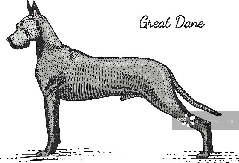 手绘雕刻风格的狗图片素材