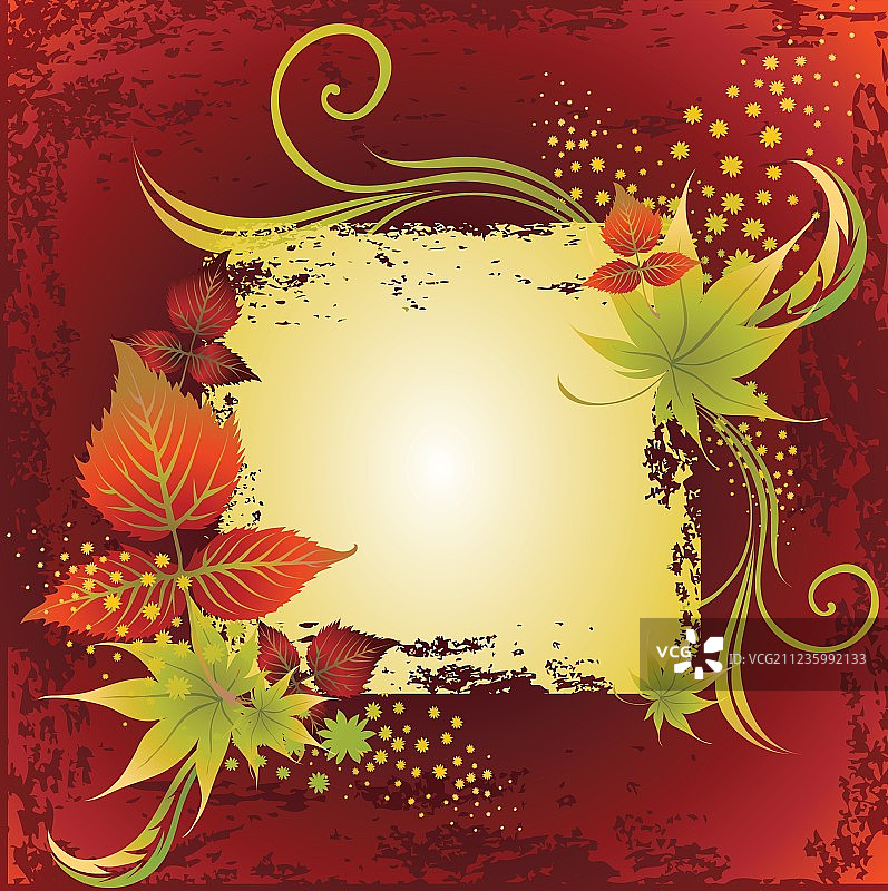 秋天的树叶图片素材