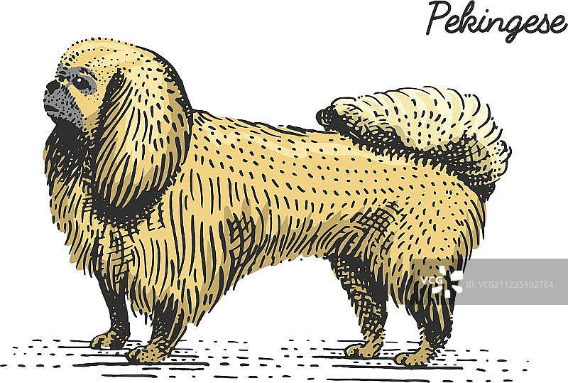 手绘雕刻风格的狗图片素材