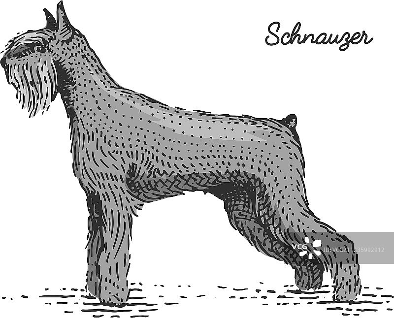 手绘雕刻风格的狗图片素材
