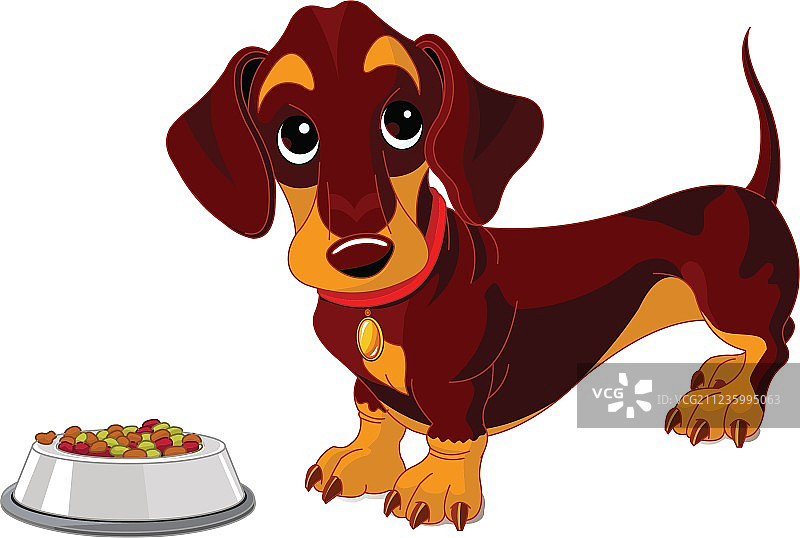 腊肠犬图片素材