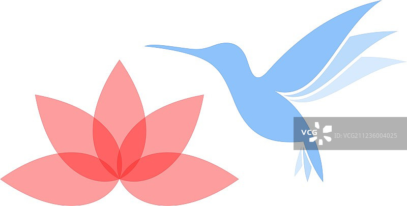 抽象蜂鸟与花朵图片素材