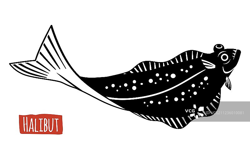 黑白大比目鱼图片素材