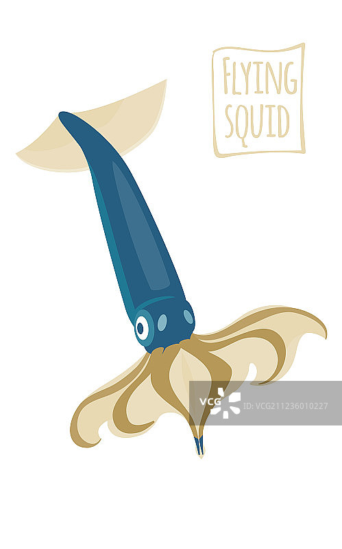 飞行的鱿鱼图片素材