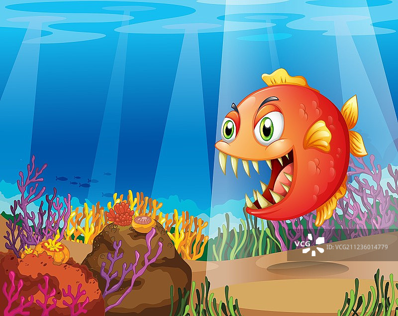 珊瑚海中的食人鱼图片素材