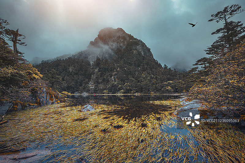 雾锁仙草湖图片素材