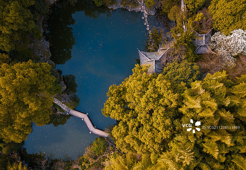 航拍上海古猗园园林自然风光图片素材