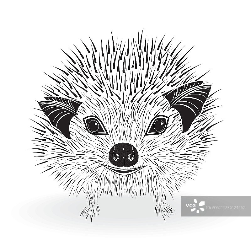 T恤上的刺猬头像图片素材