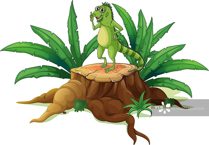 树干上的鬣蜥图片素材