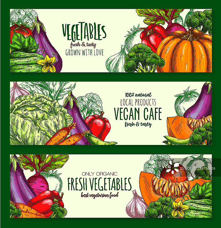 纯素咖啡馆蔬菜丰收banner图片素材