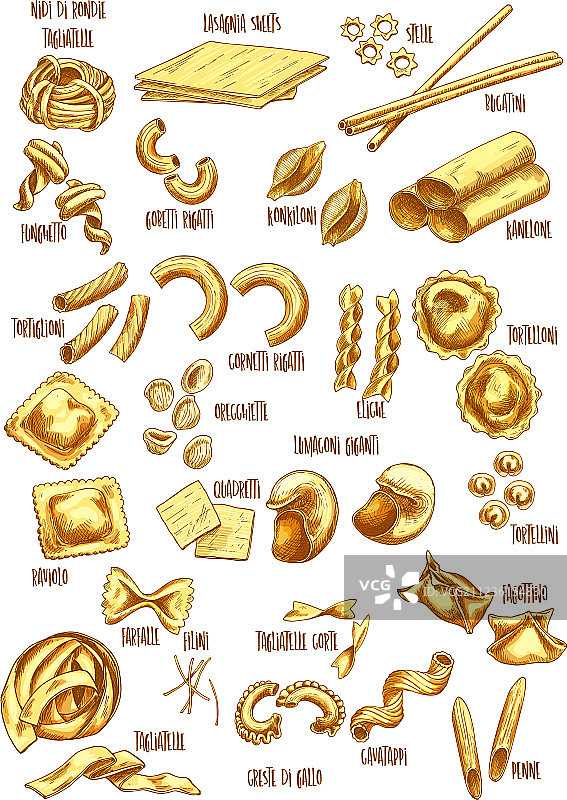 意大利面名称速写图标集图片素材
