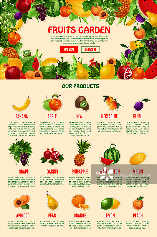 水果商店着陆页模板图片素材