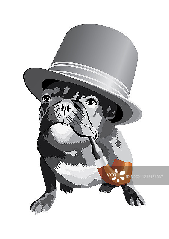 法国斗牛犬图片素材