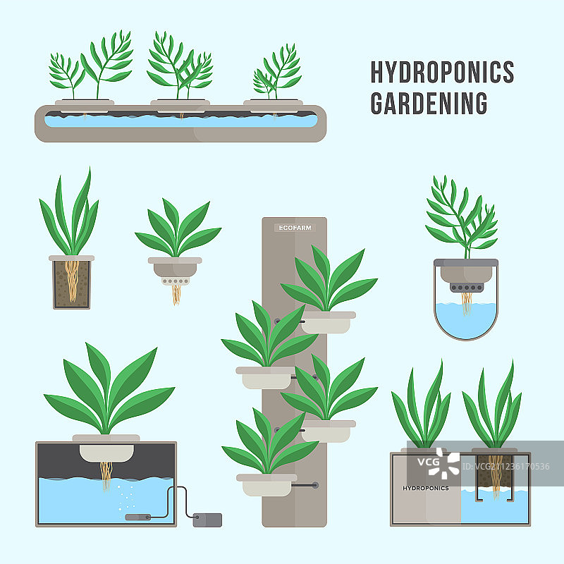 水培系统园艺技术图片素材
