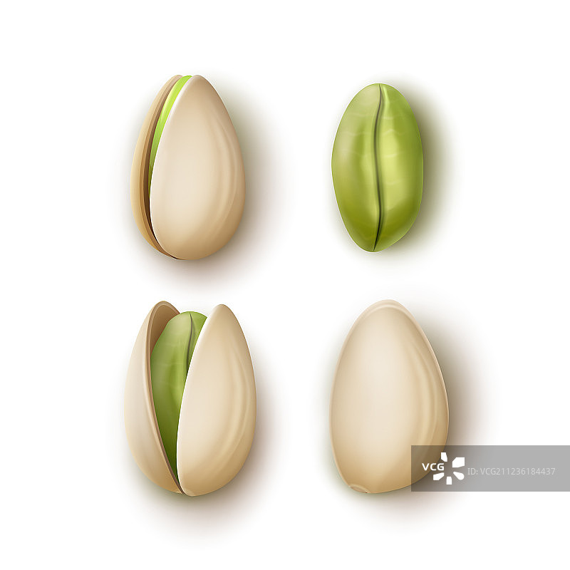 开心果合集图片素材