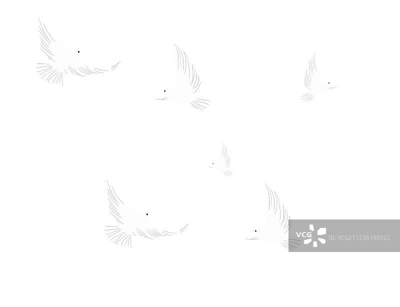 飞翔的白鸽图片素材