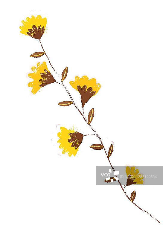 鲜艳的花朵图片素材