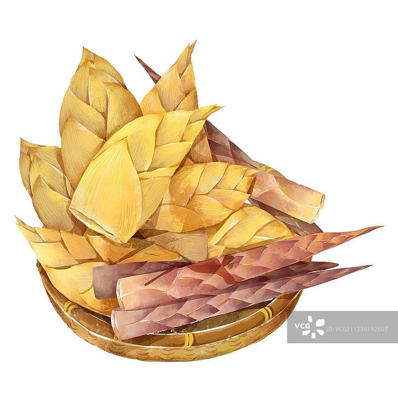 竹笋图片素材